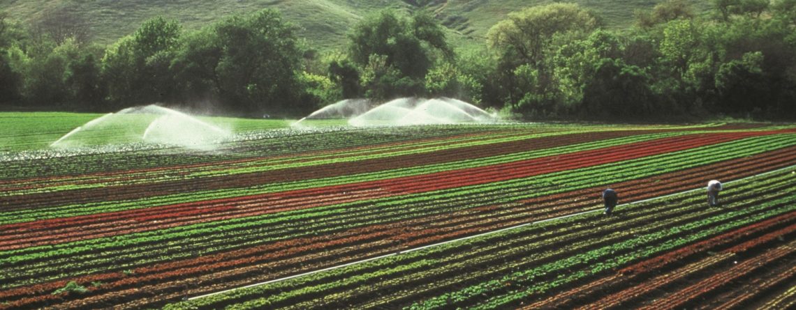 Что такое фертигация? Каковы плюсы и минусы?