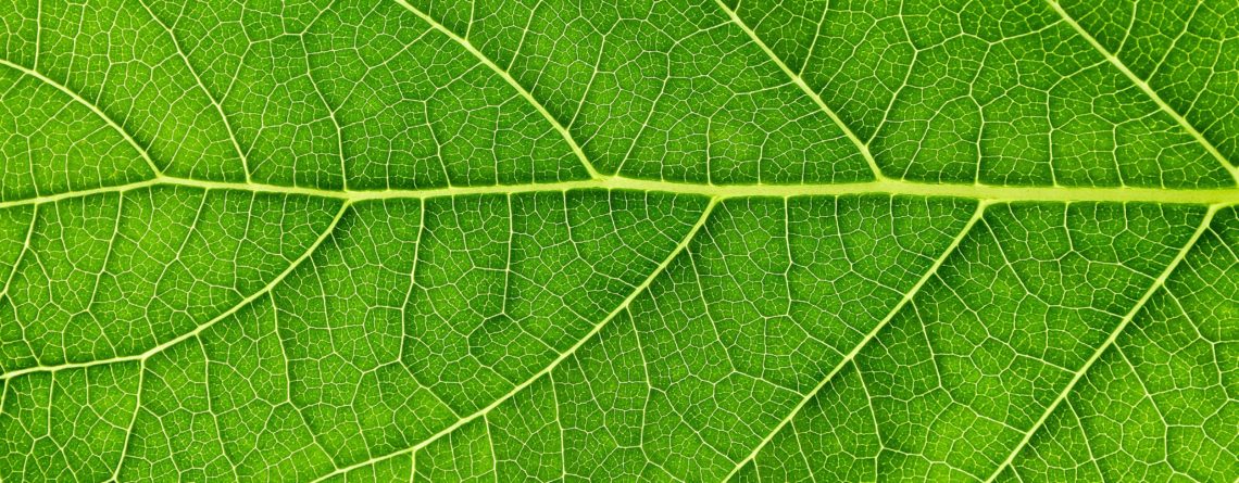 Биостимуляторы – Аминокислоты